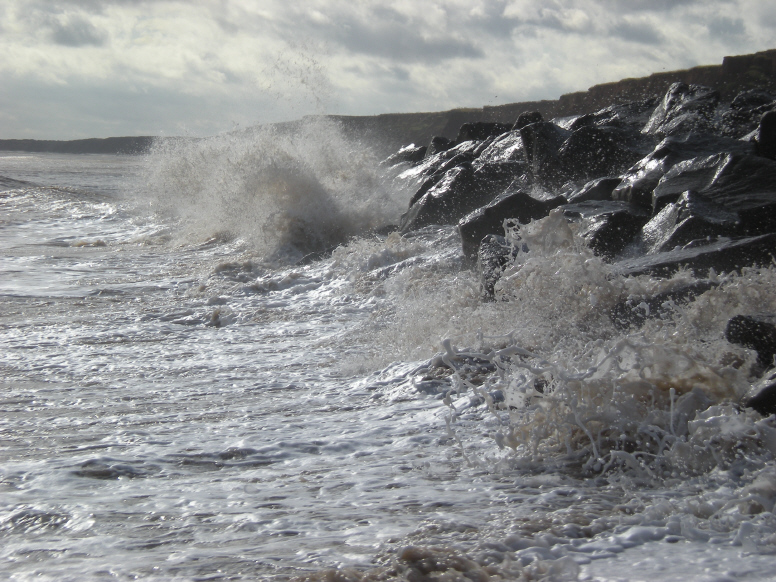  Holderness-10-5 (776x582).jpg 